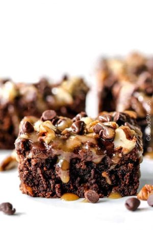 Turtle Brownie