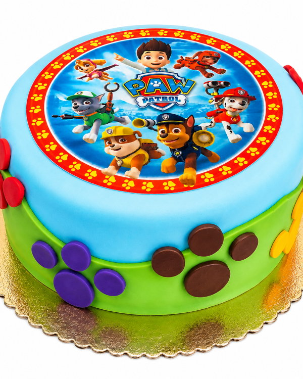 Paw Patrol Cake